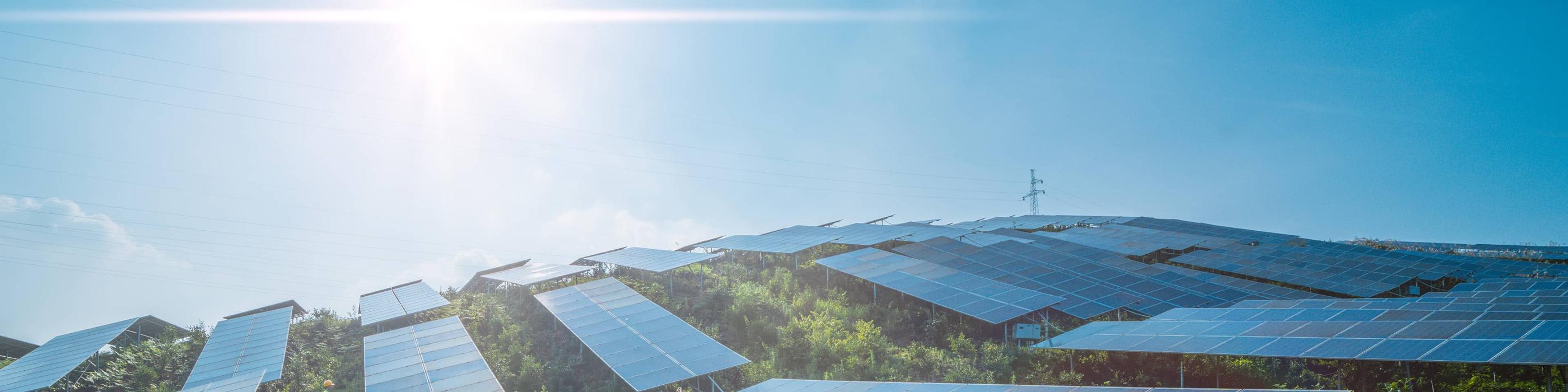 Corporate sustainability due diligence directive (CSDDD) 