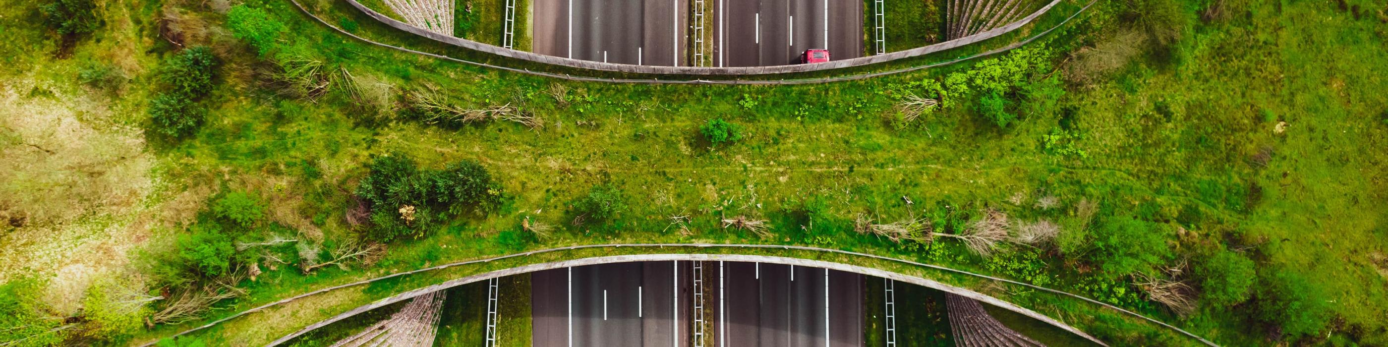 The value chain: CSRD’s crucial component