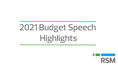 2021 Budget Speech Highlights | RSM South Africa