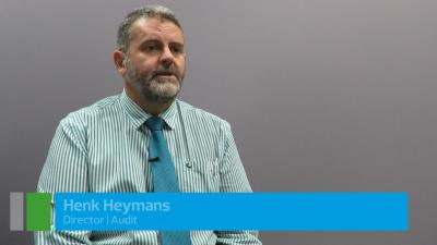 What auditors do | RSM South Africa