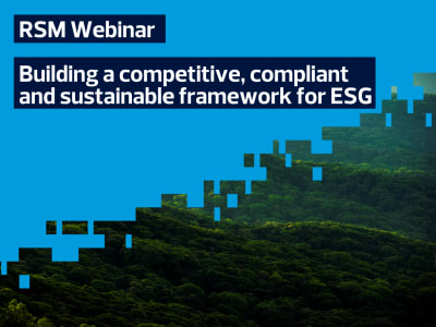 RSM Webinar: Building a competitive, compliant and sustainable framework for ESG