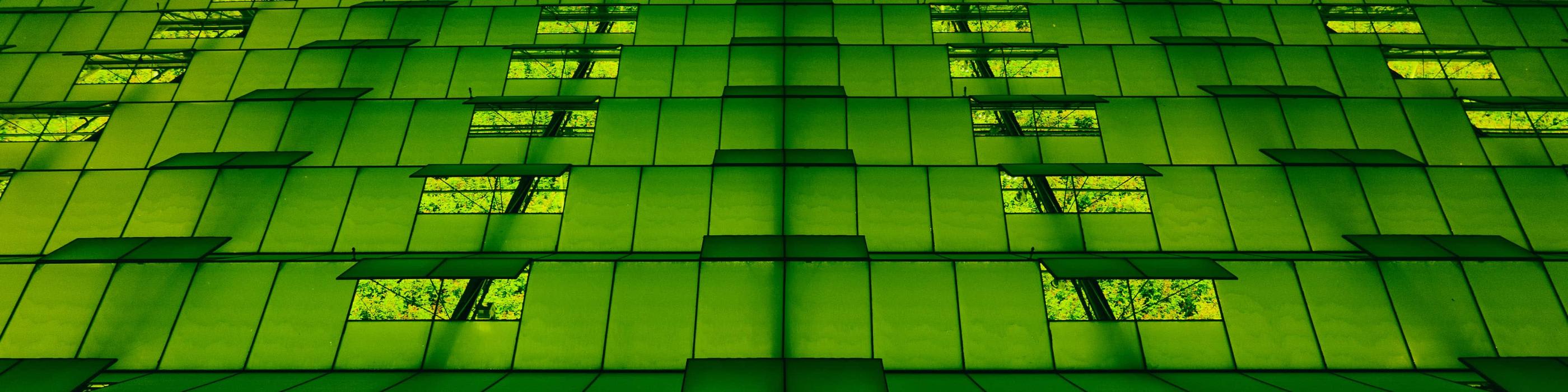 RSM webinar | Demystifying ESG for African businesses