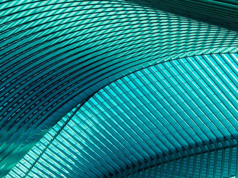 Auditor por un día 2025