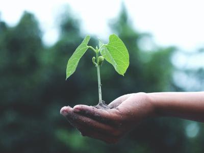 RSM Spain ‘La Hora del Planeta’ contra el cambio climático