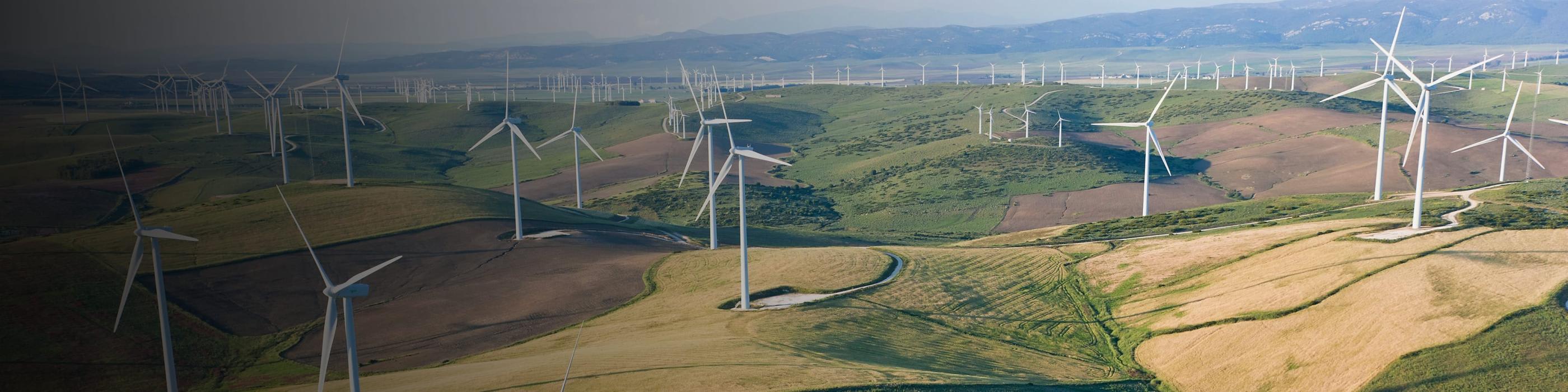 ESG y Sostenibilidad