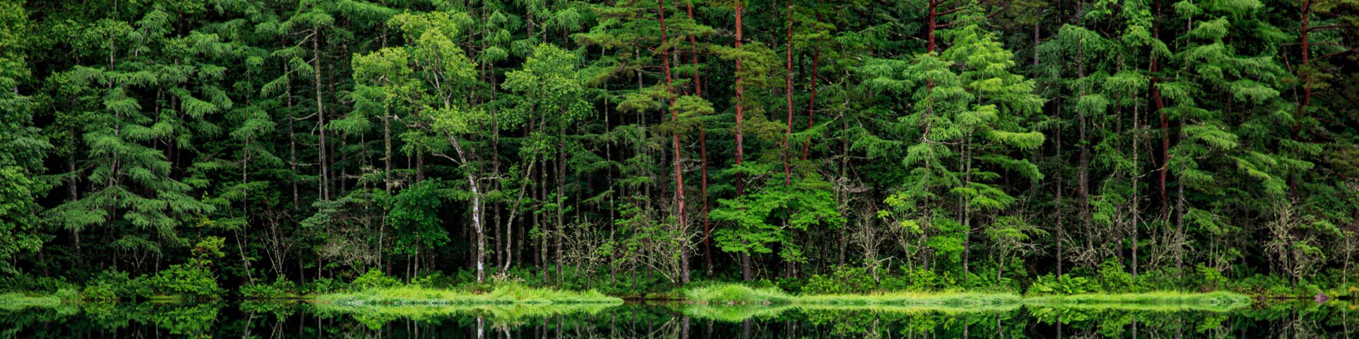 ESG & Sustainability