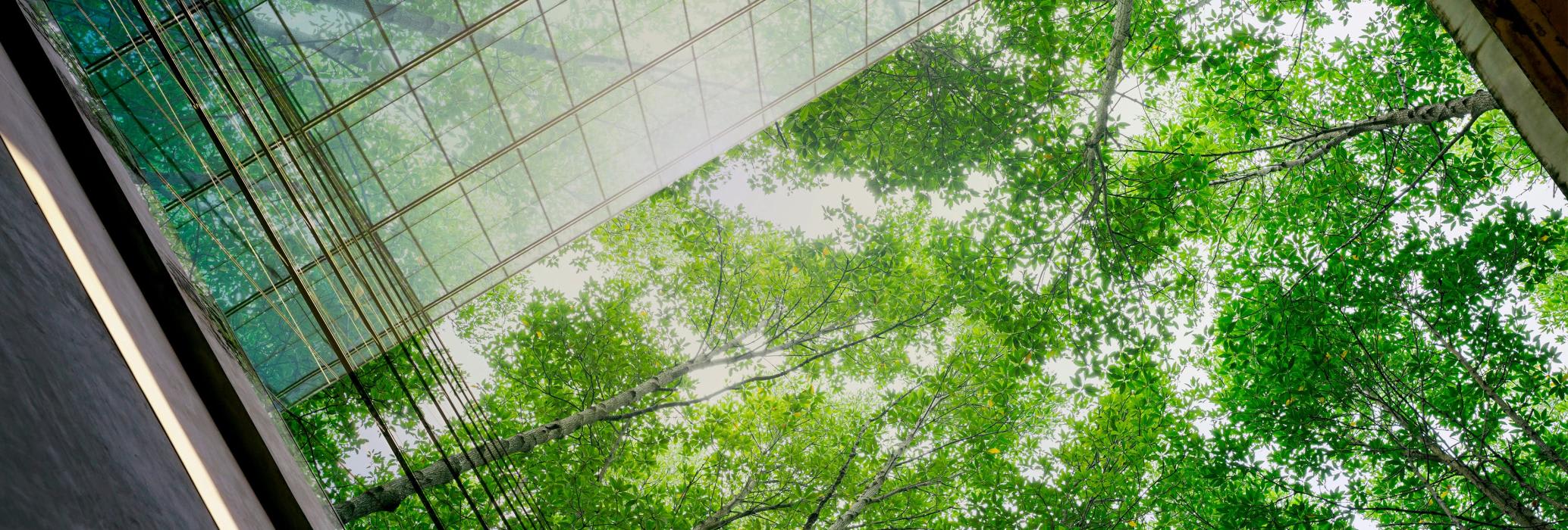El reto del ‘rating verde’: ¿podemos confiar en las agencias ESG?