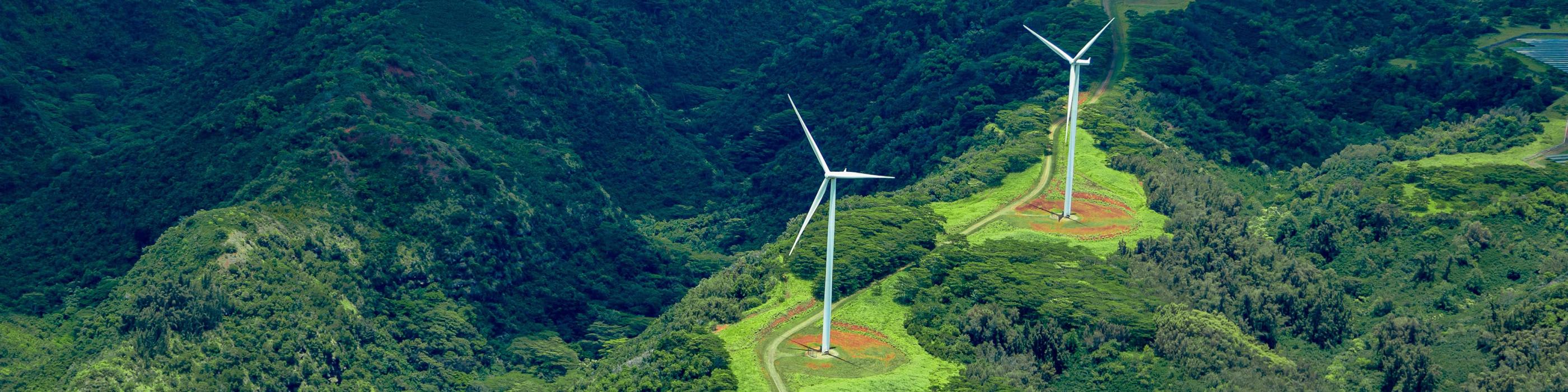 Capacidad de resiliencia de la inversión ESG ante los nuevos desafíos