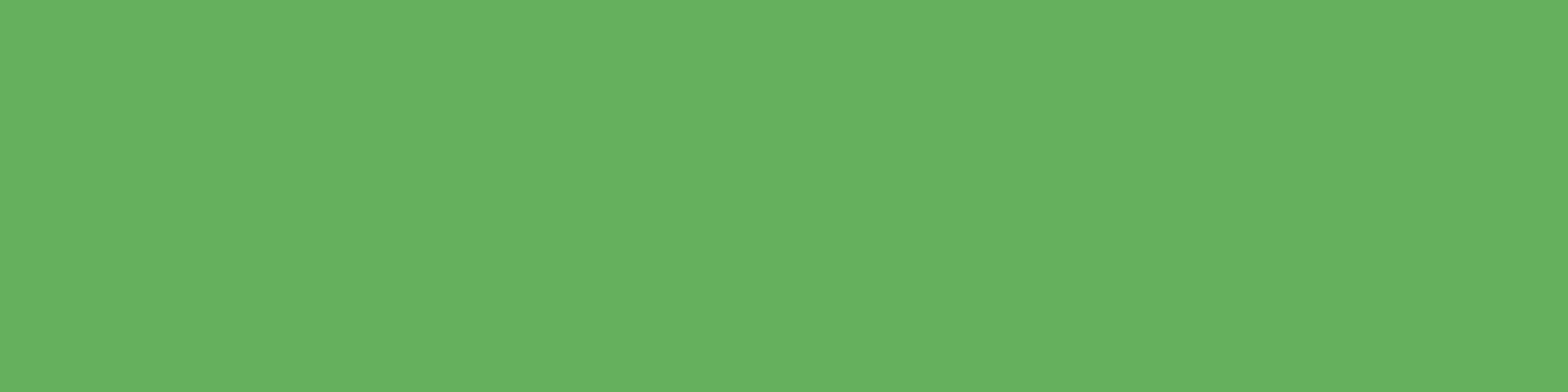 Tax Audit Support