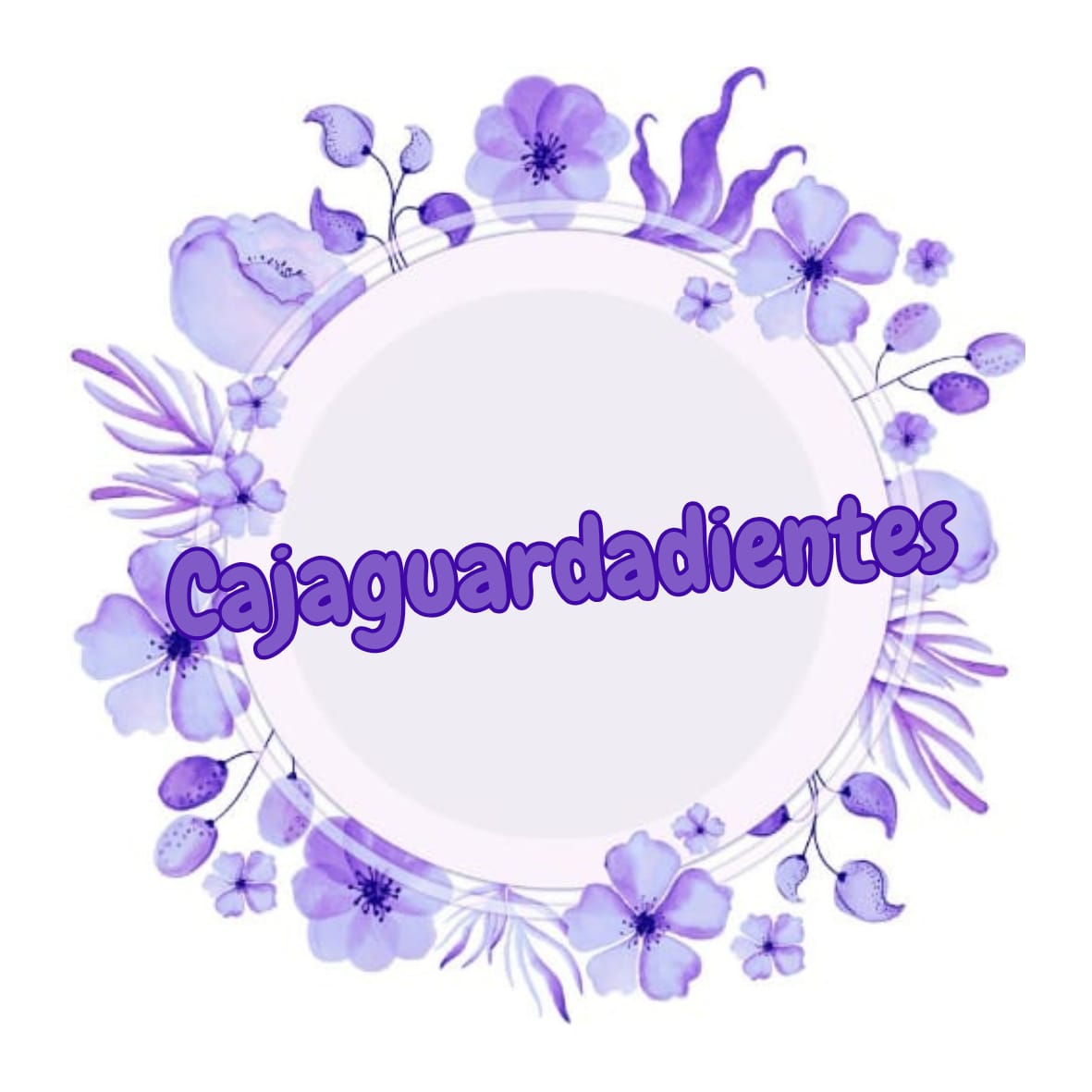 Cajaguardadientes