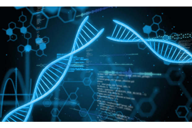 DNA Storage Technology: DNA Data Storage