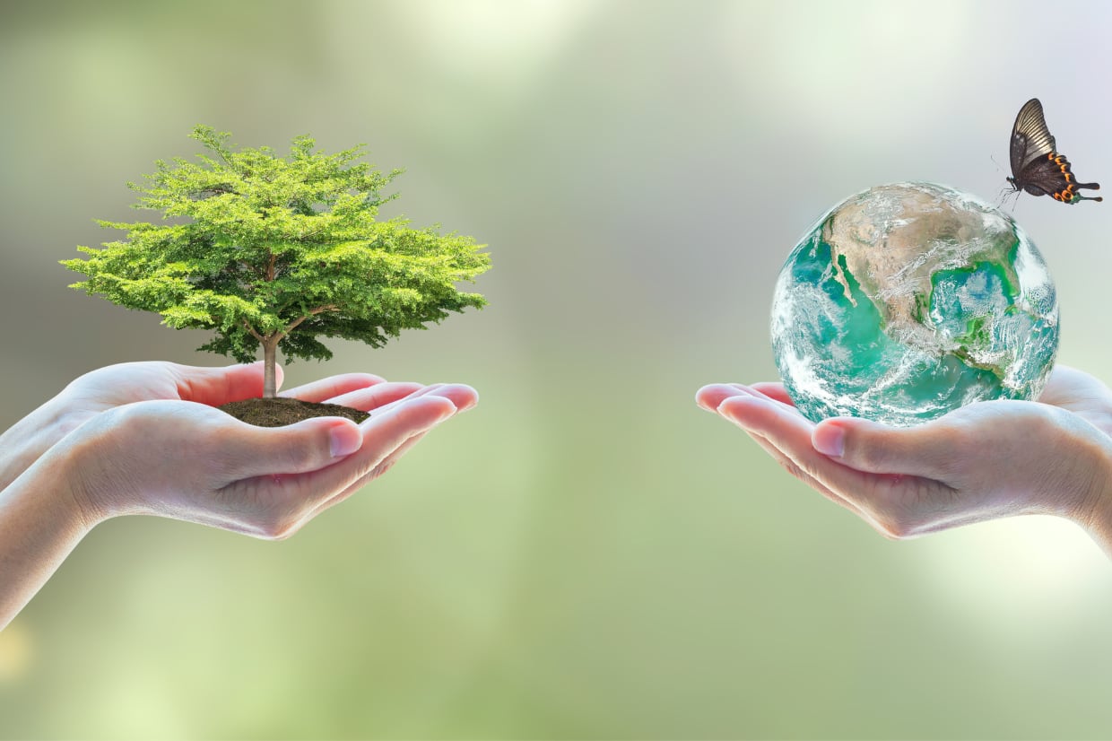 La norme ISO 50001 : Guide complet du système de management de l'énergie certifié AFNOR