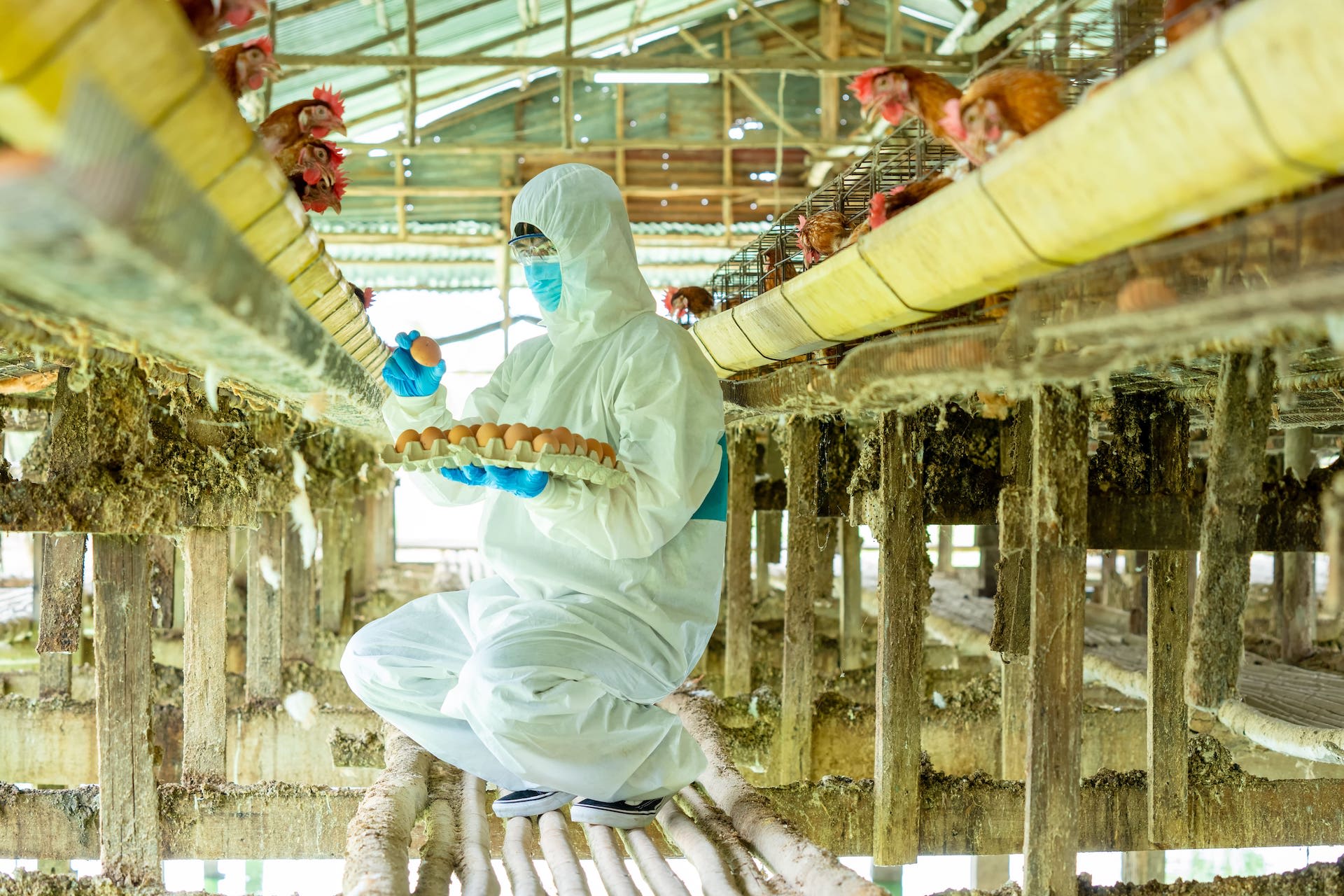 生物危害防护