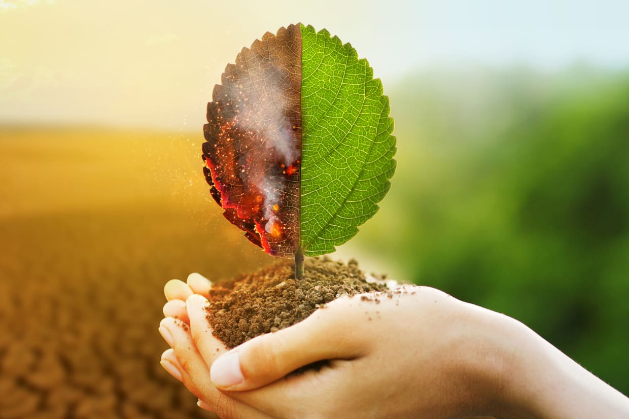 bonnes pratiques environnement achat