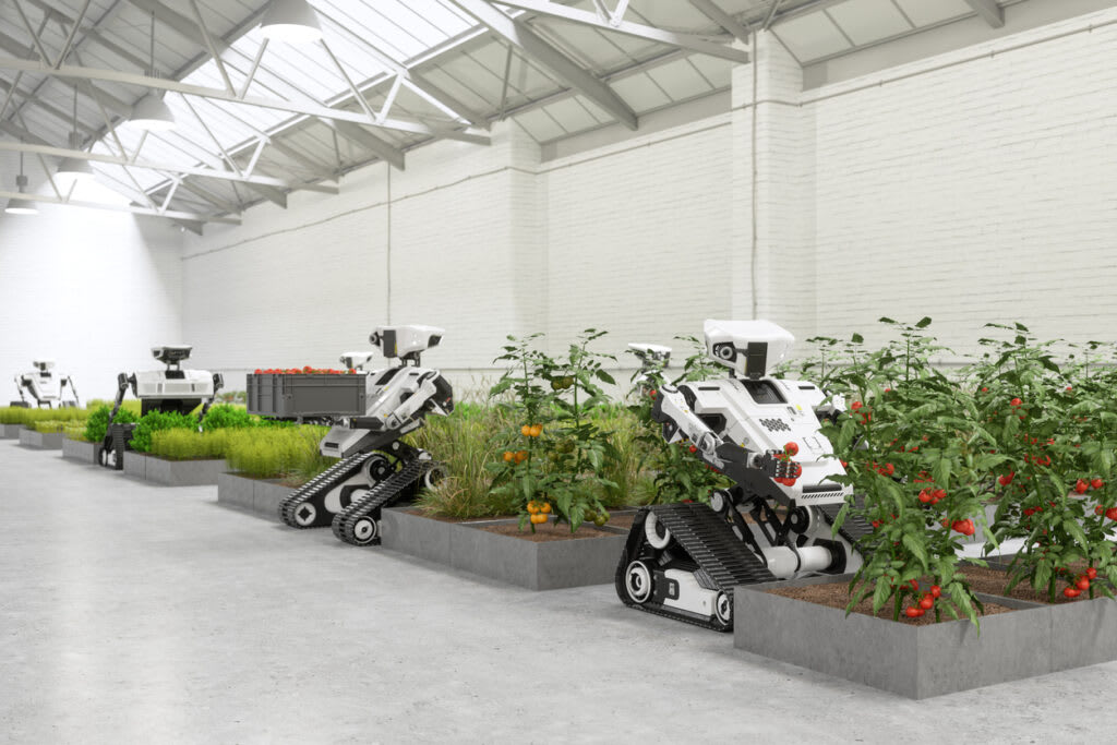 Roboter an Tomatenpflanzen