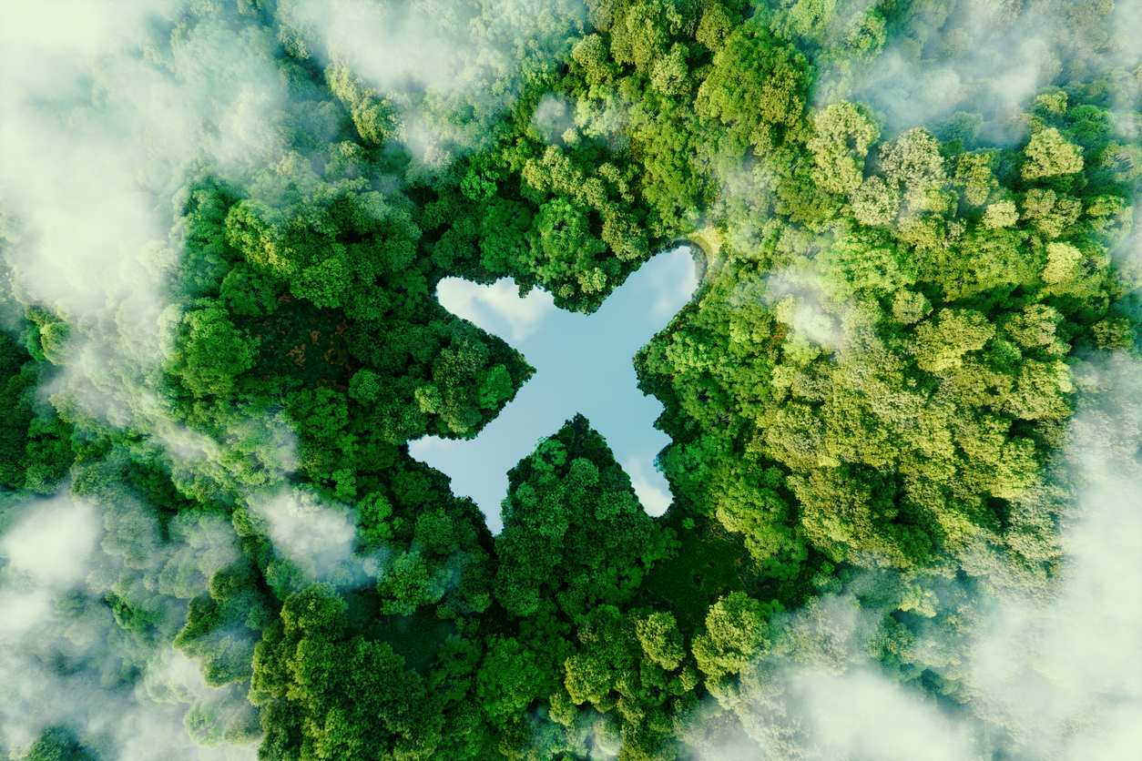 An outline of a plane within a forest with clouds overhead, to signify airlines trying to reach net zero carbon emissions through green aviation.