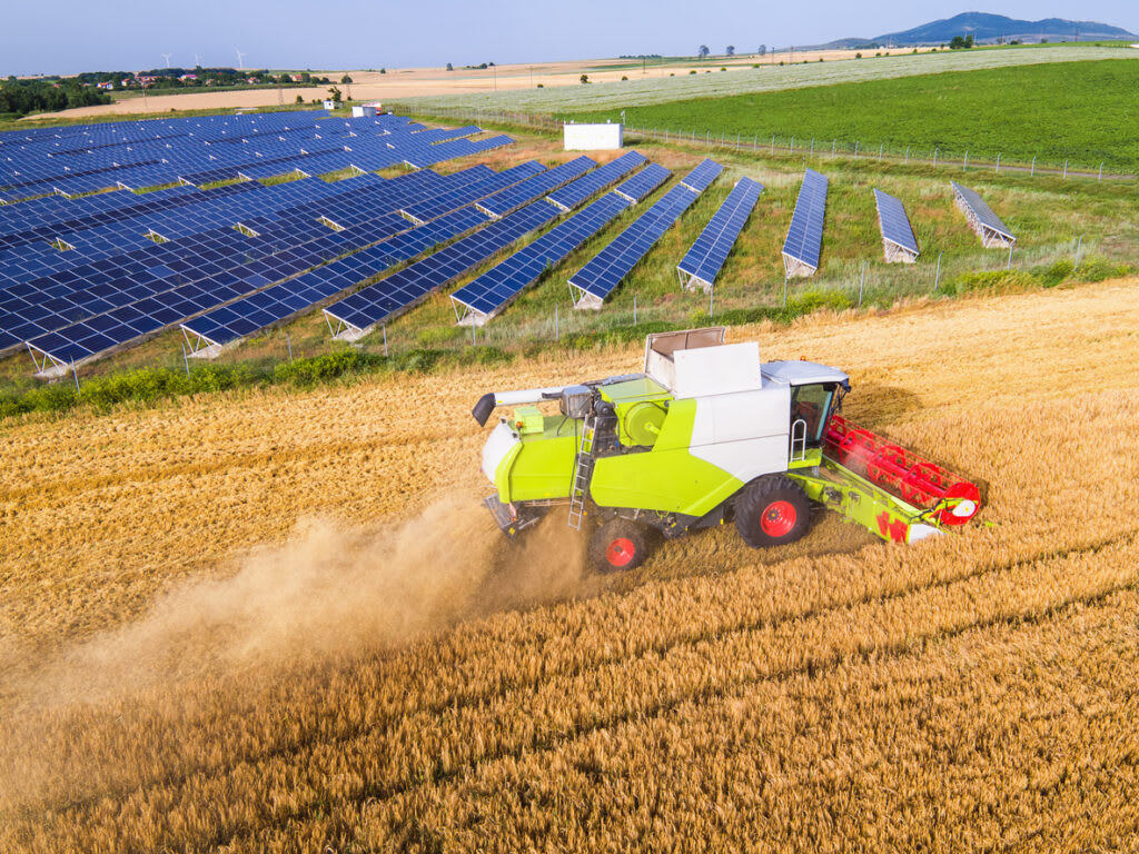 Aerial view of the combine harvester working on the large wheat field