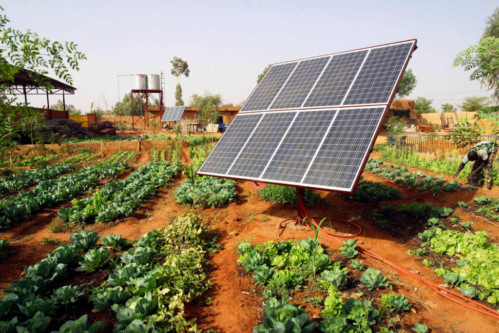 A solar panel in a farm