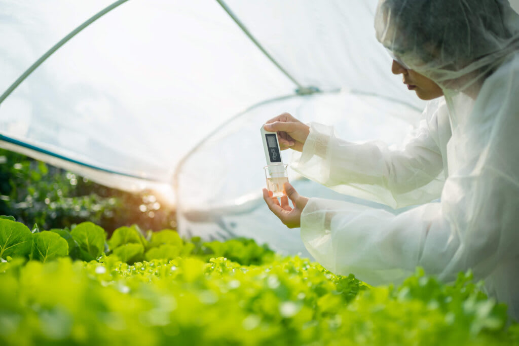 Sensors used in food industry