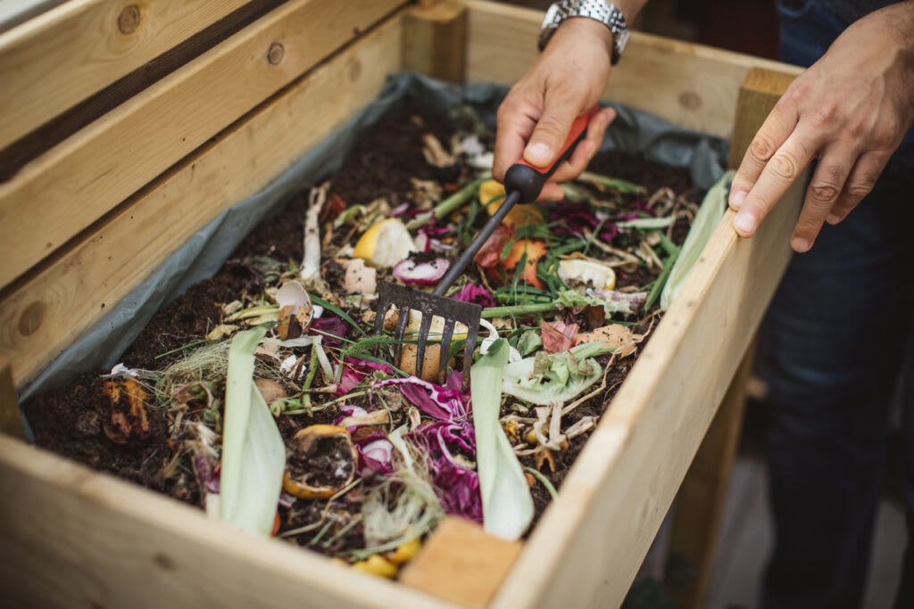 Composting is a type of regenerative agriculture.