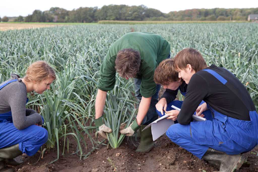 More education for regenerative agriculture is needed.