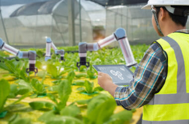 roboter-landwirtschaft