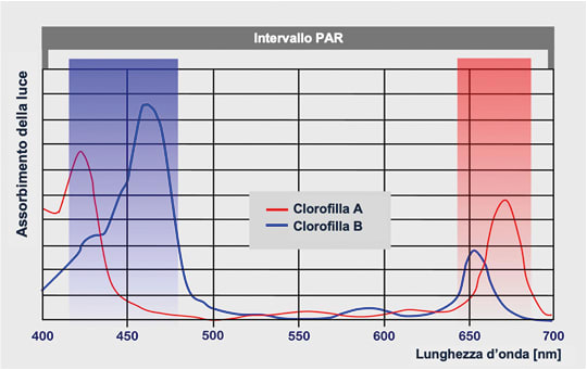 Radiazione fotosinteticamente attiva nell’intervallo PAR