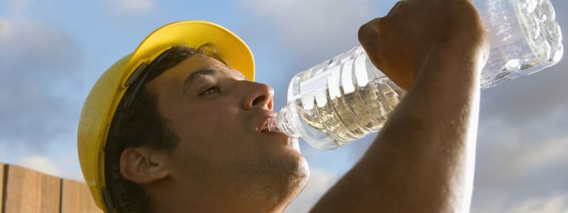 Se rafraîchir au travail quand il fait chaud