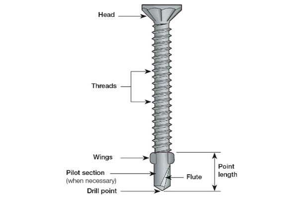 Anatomy of a Self-Drilling Screw Diagram