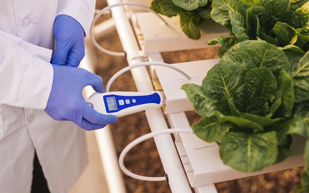 What to Look for in a pH Meter for Water Quality Testing