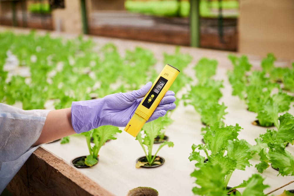 The Essential Role of pH Meters in Agricultural Sectors