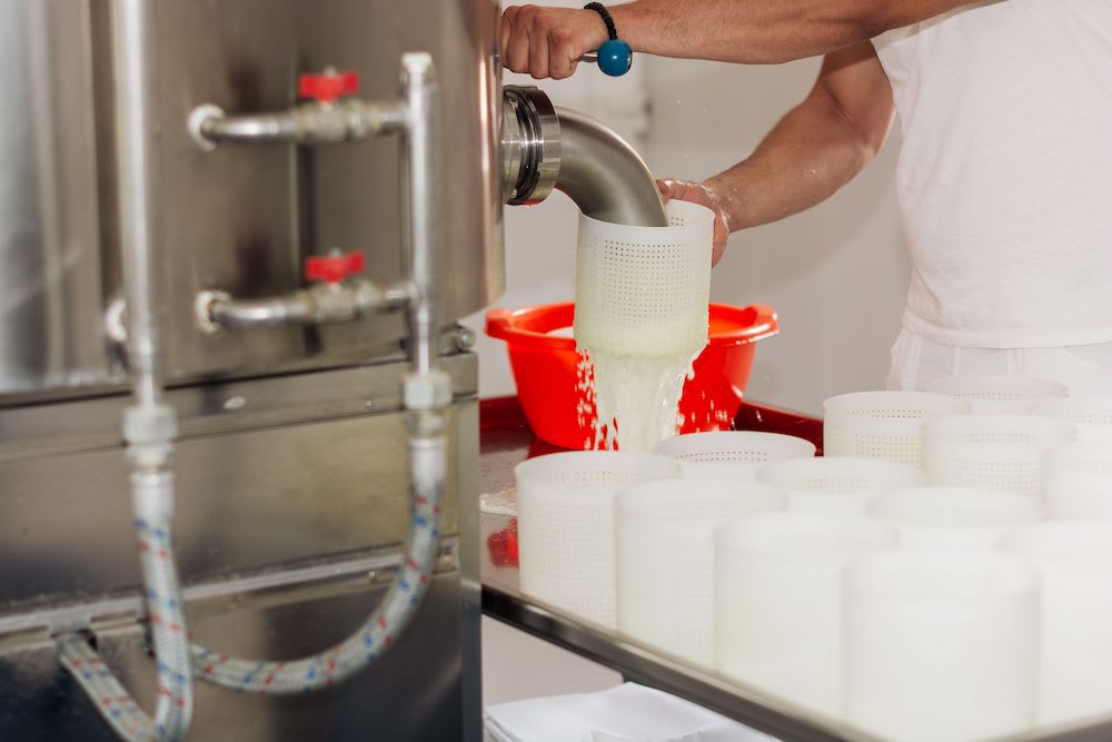 Why is Temperature Critical in Dairy Processing?