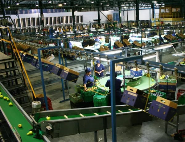 food packaging centre