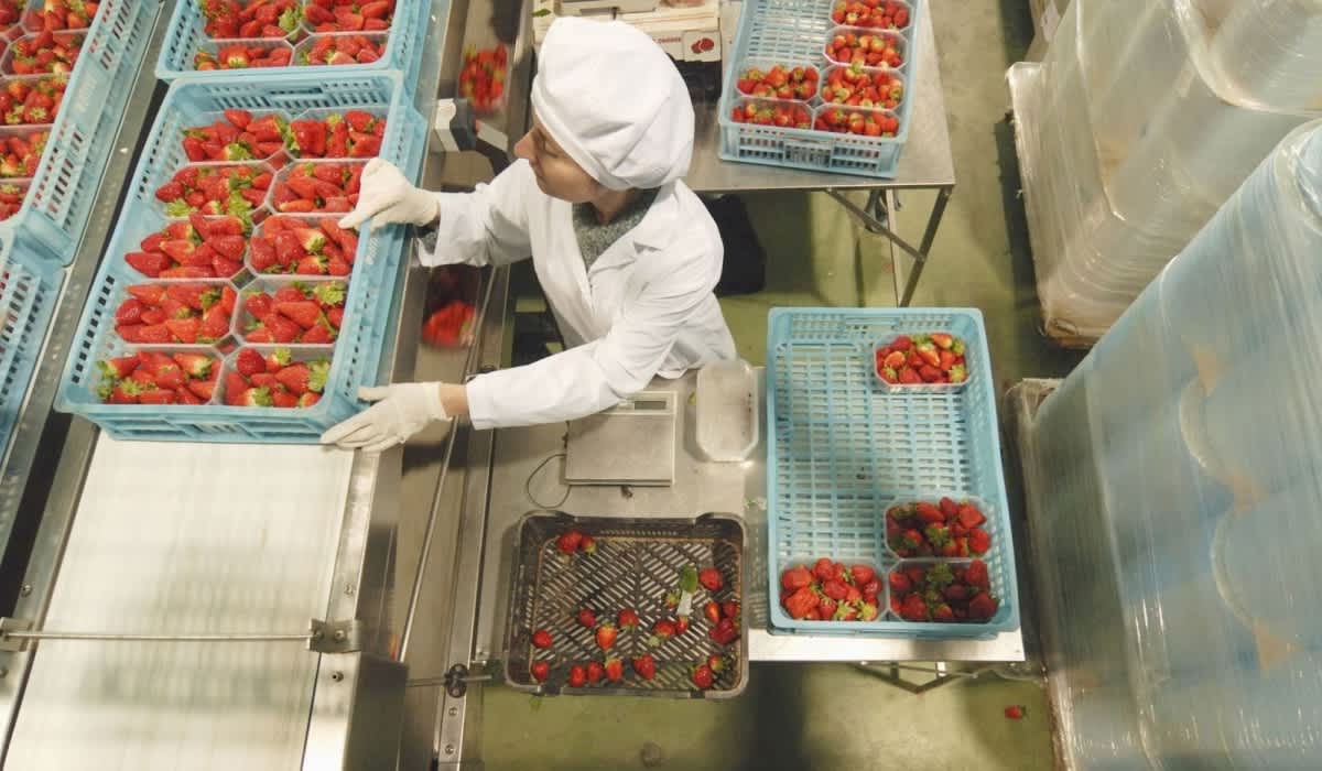 Strategie per la sicurezza degli impianti alimentari