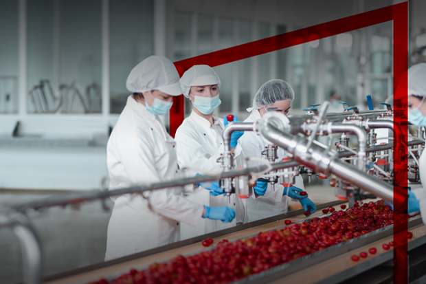 Uzyskaj specjalistyczną wiedzę branżową