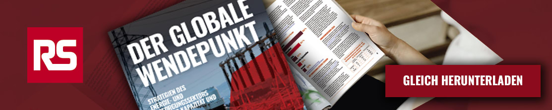 RS Components - Energie- & Versorgungsunternehmen. Der Branchenreport