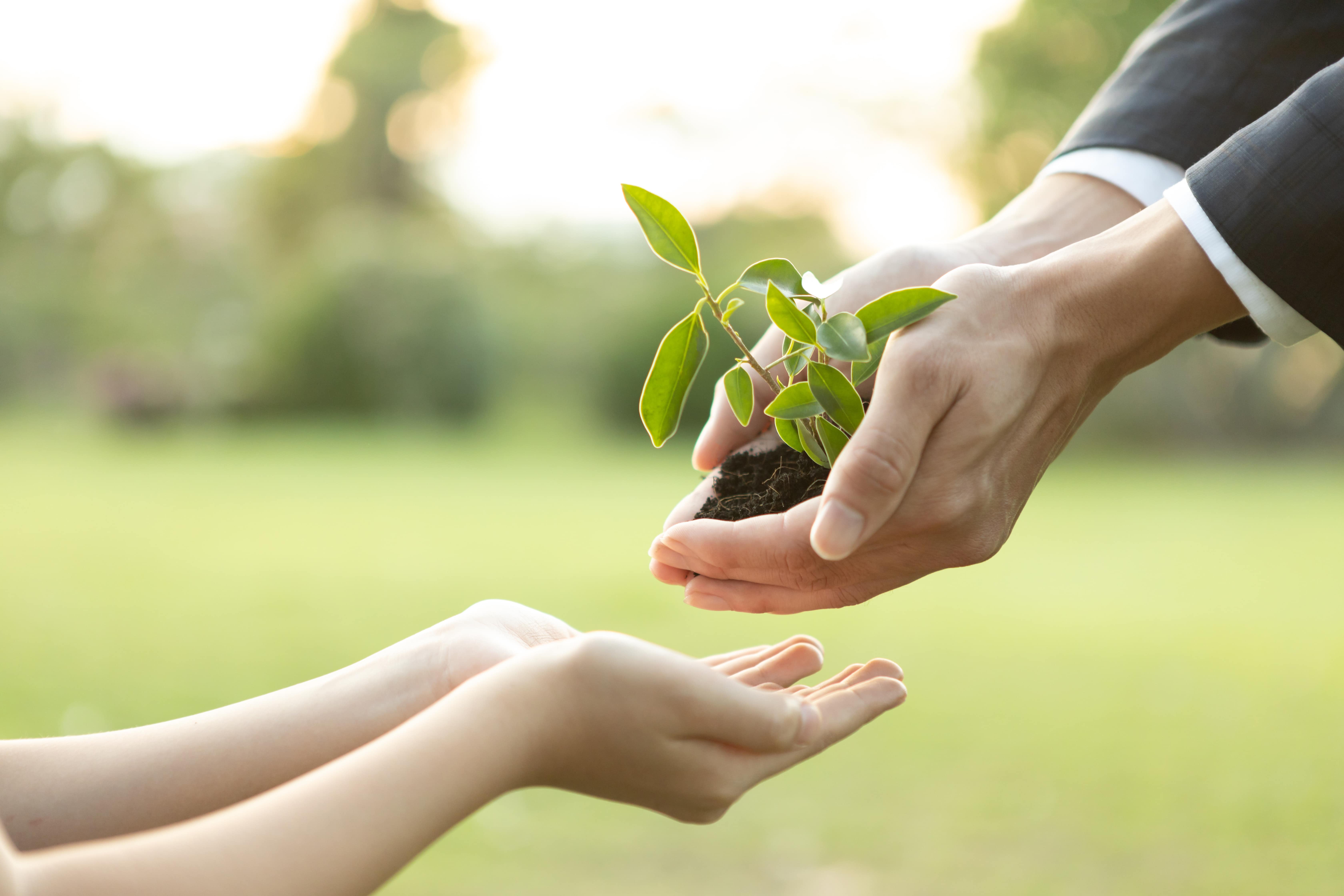 carbon credits vs renewable energy certificates