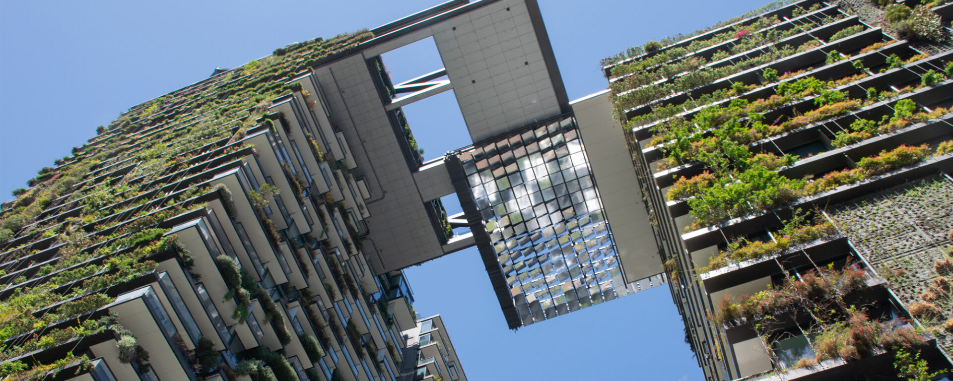 Upward view of modern high-rise apartment buildings with balconies covered in lush greenery, connected by a skybridge structure against a clear blue sky.