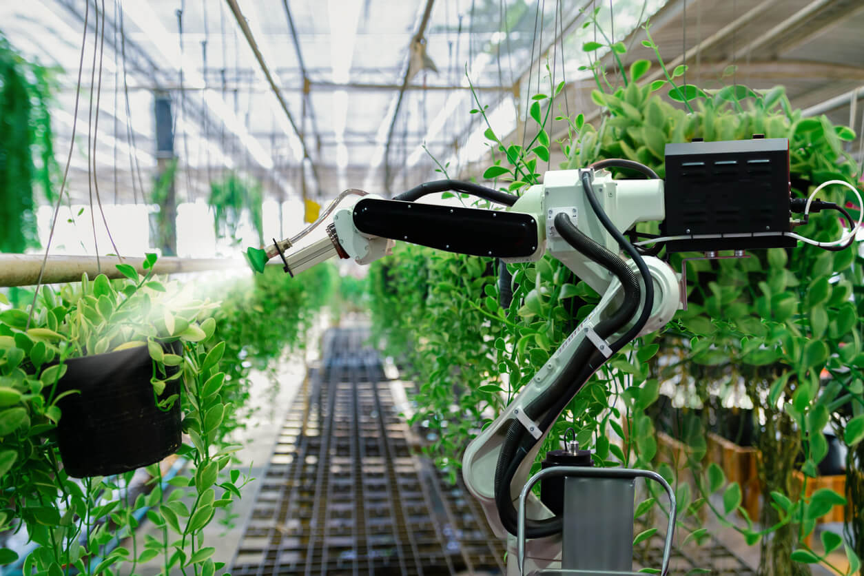 A robotic arm spraying a plant with water, in a greenhouse filled with tall green plants and bushes.
