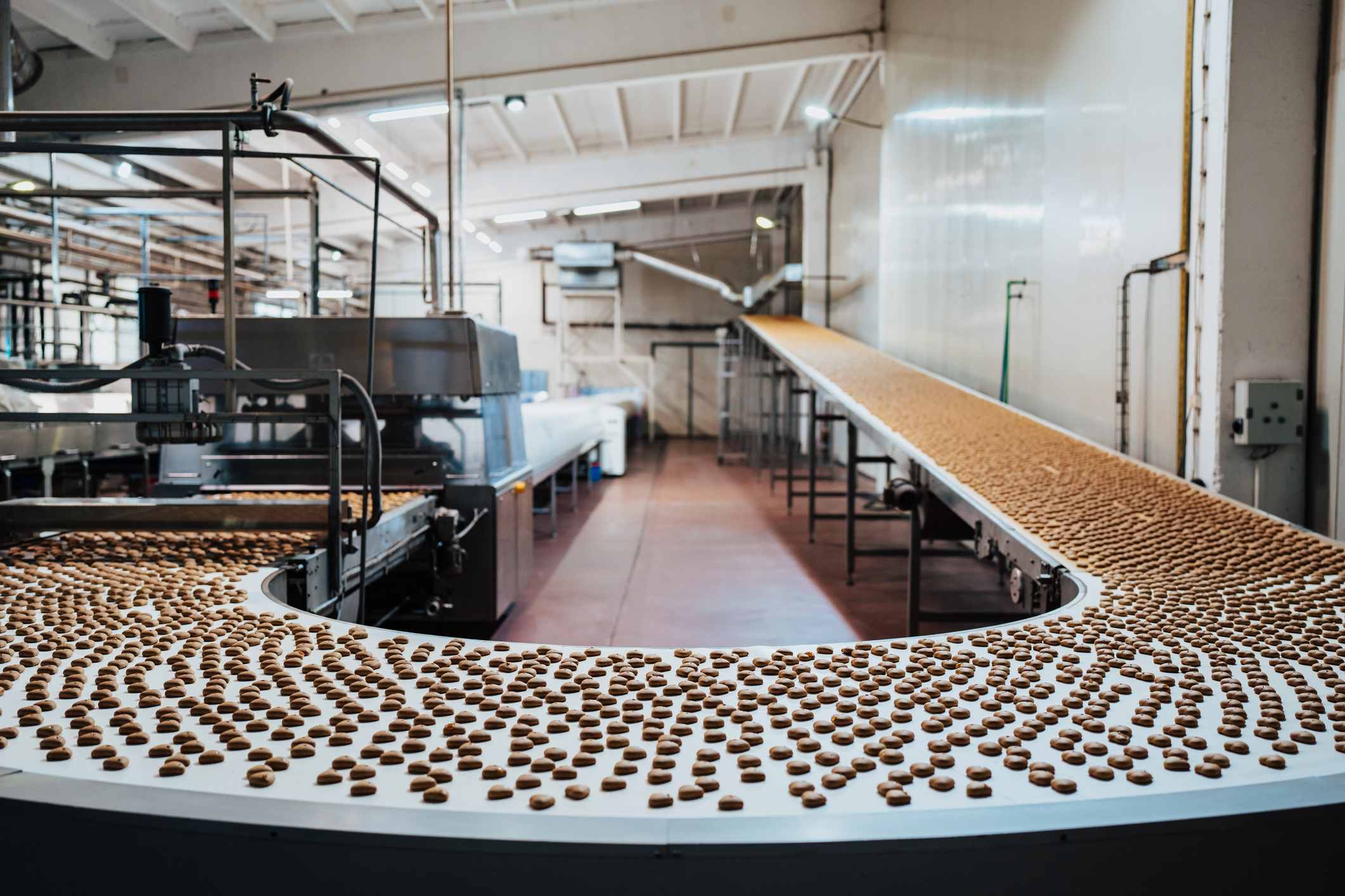 A conveyor belt in a food processing factory, with lines of food along the conveyor belt to be processed and packaged.