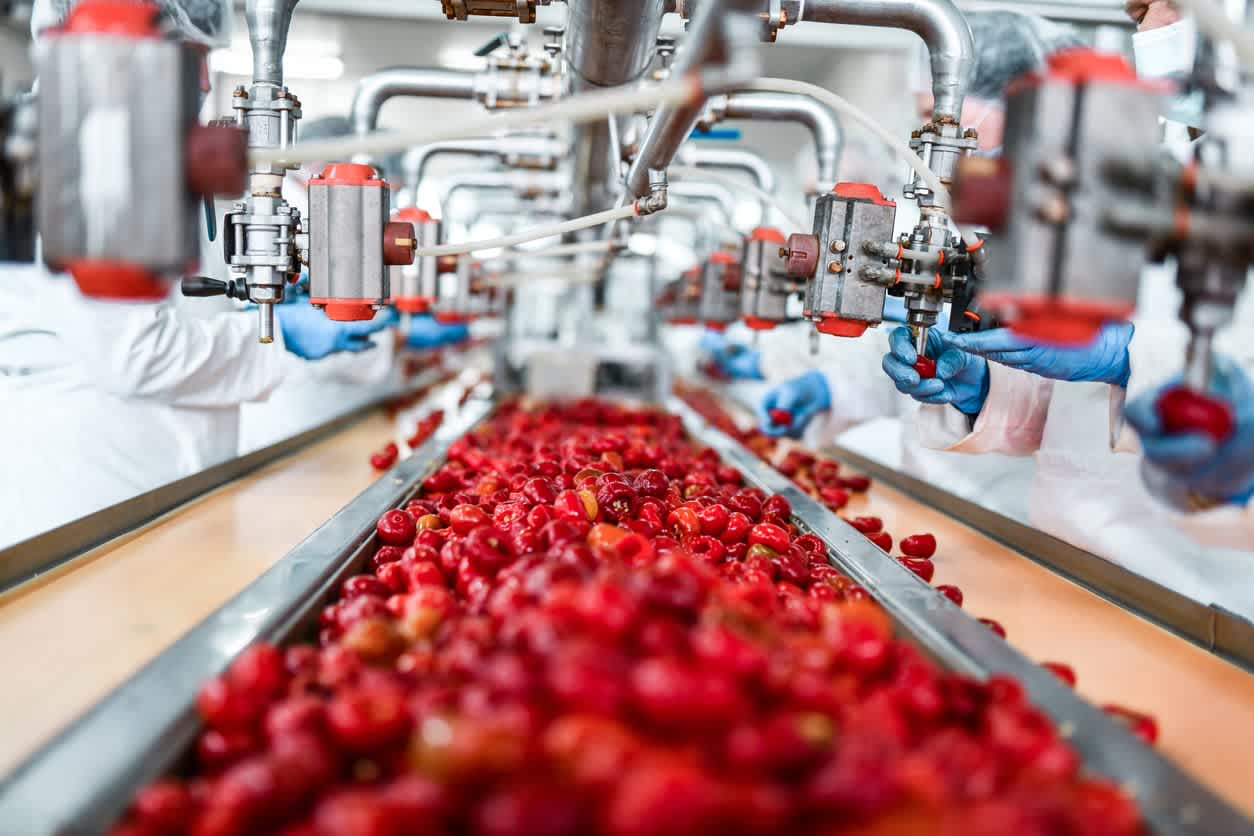 A conveyor belt processing food as workers operate food automation machines.