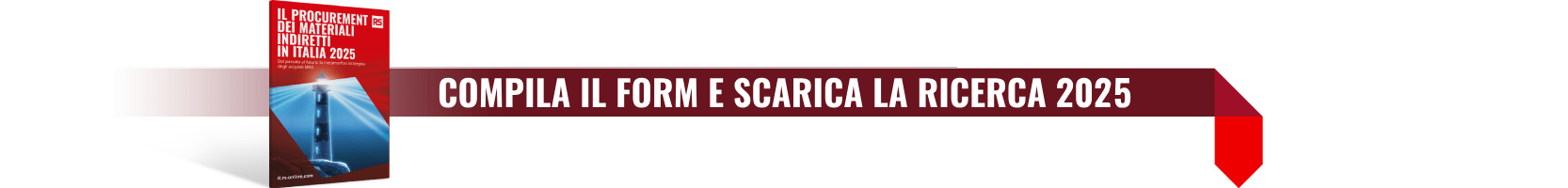 Scarica la ricerca 2025