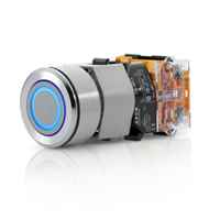 EAO Series 04 switches 30.5mm mount switches
