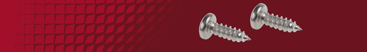 How to Remove Rusty or Seized Screws