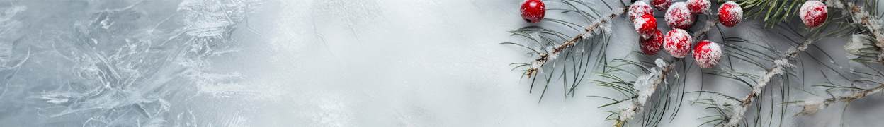 Our Christmas Opening Hours