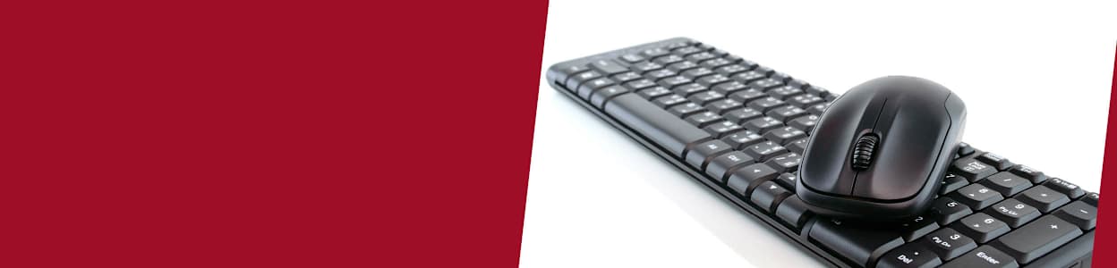 A keyboard and mouse