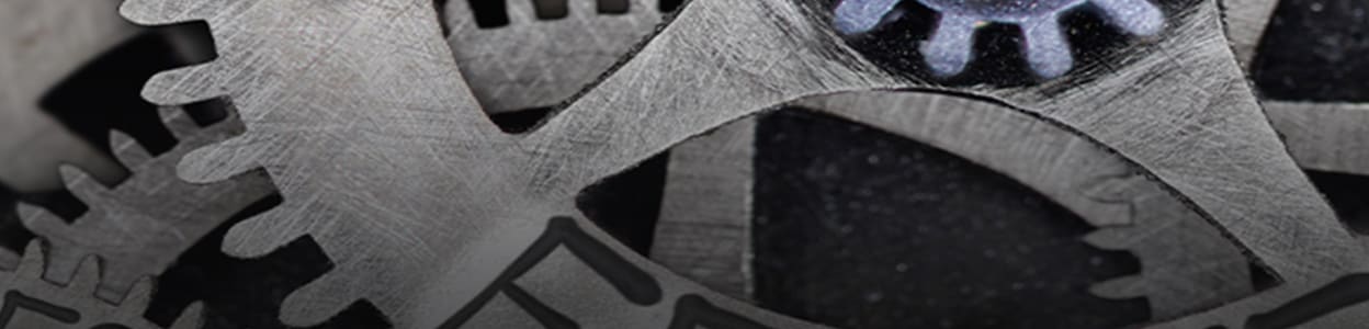 Cogs of an asset
