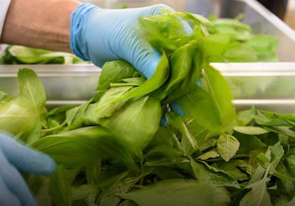 Eliminare il rischio di contaminazione alimentare