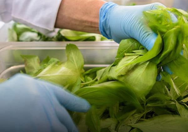 Wie Sie mit HACCP das Risiko der Kontamination bei Lebensmitteln in der Herstellung vermeiden können