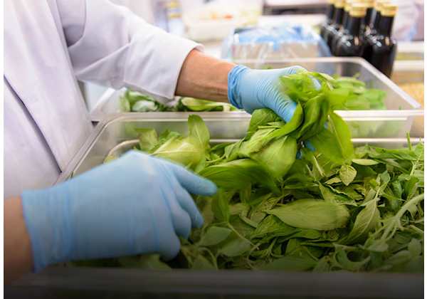 A Guide to Food Contamination Control in Manufacturing